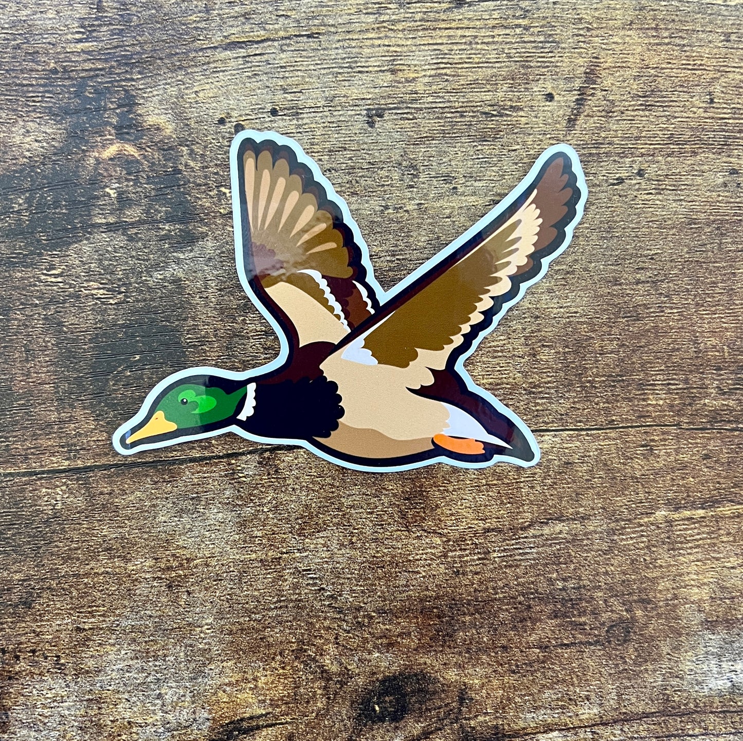 Mallard - sticker