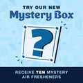 Mystery 10 pack