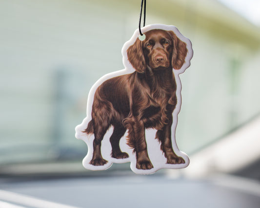 Boykin Air freshener - Black Ice Scent