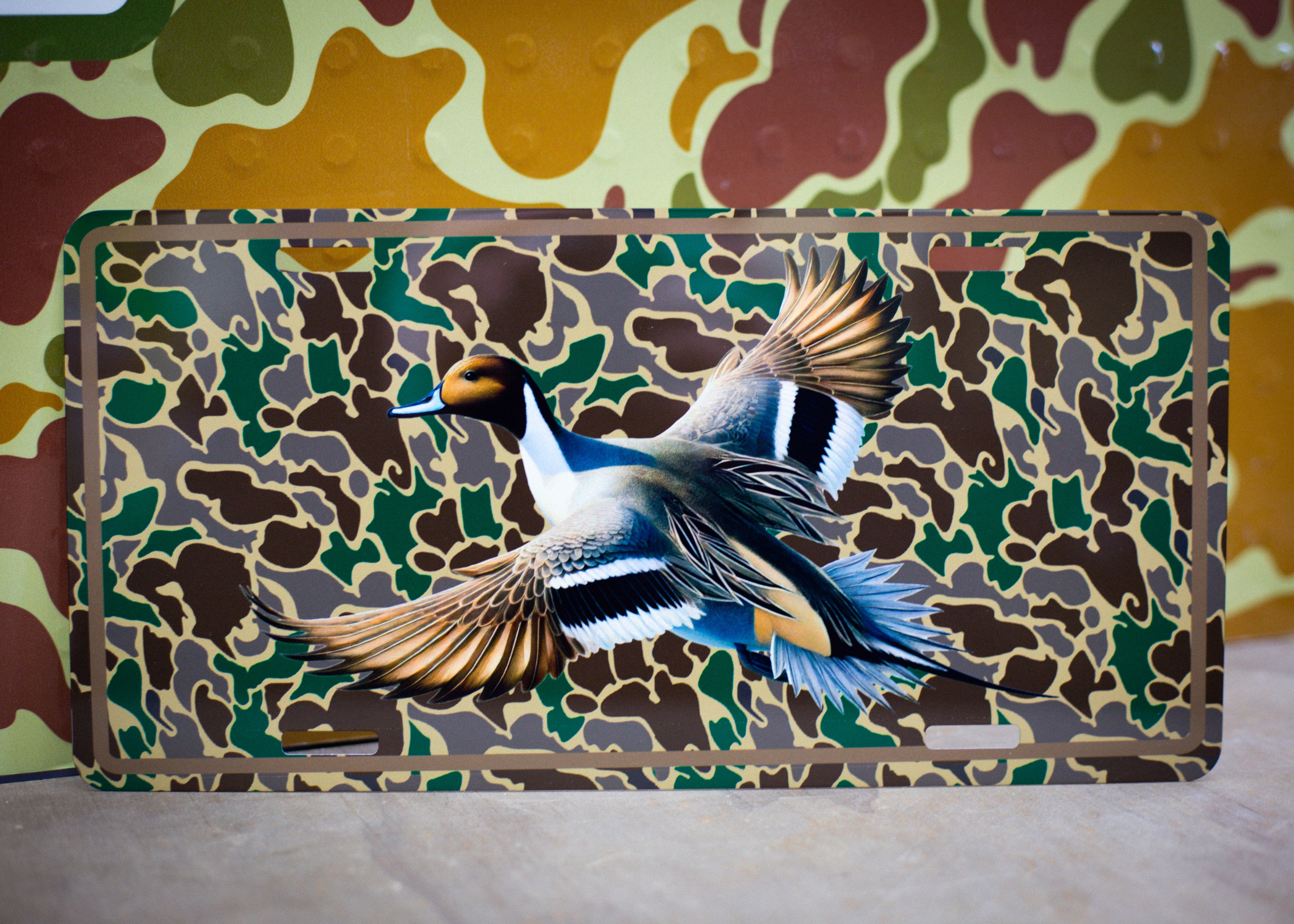 Pintail - car tag